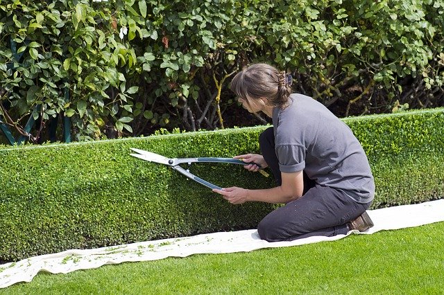 how to start an llc business in landscaping. 